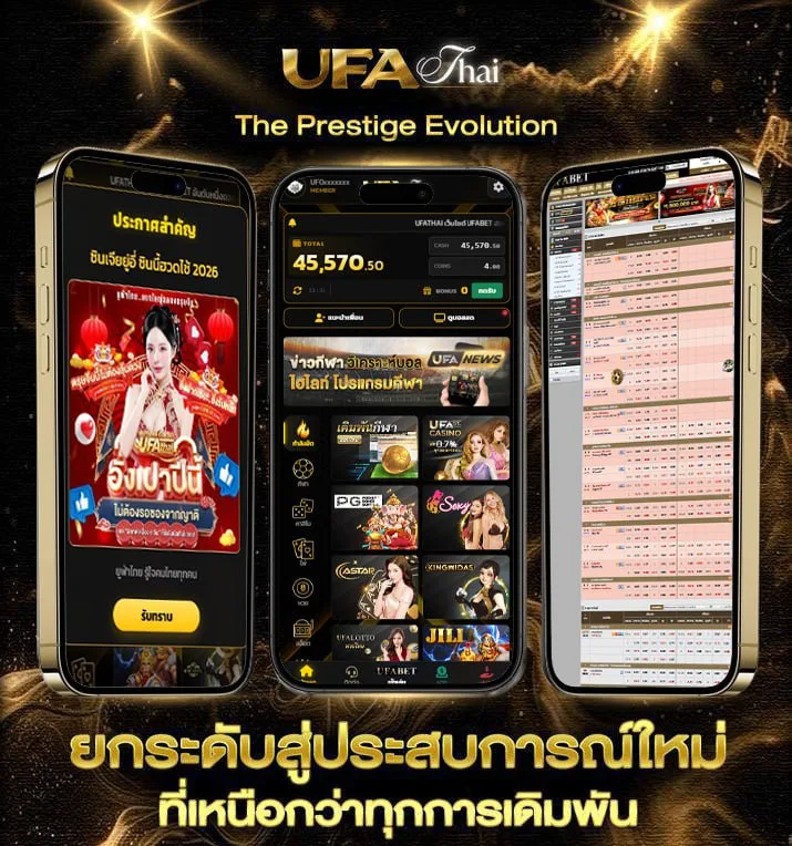 โปรแกรมวัววันนี้  เว็บแทงบอล
